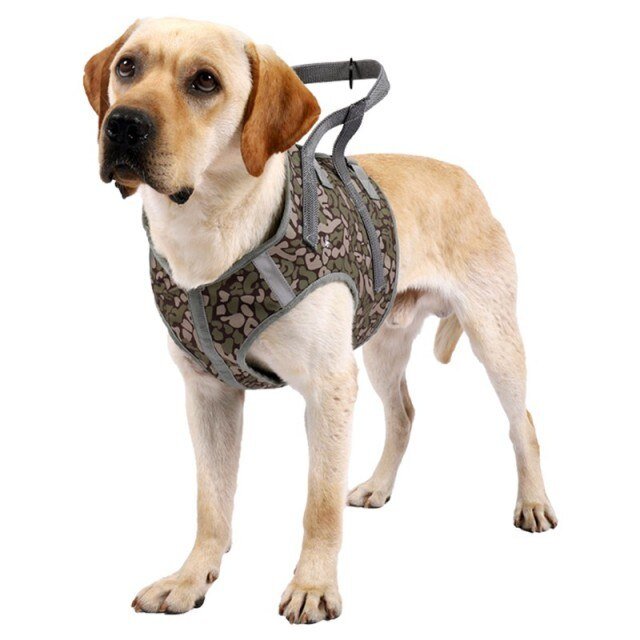Dog Soft Adjustable Harness Pet Large Dog Walk Out Harness Vest for Medium Dog Chest Strap Dog Harness Pets Accessories-5